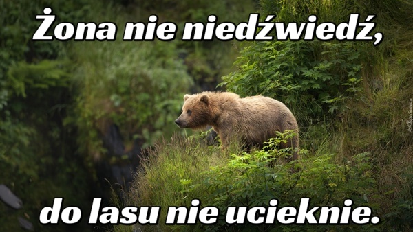 Żona nie niedźwiedź, do lasu nie ucieknie