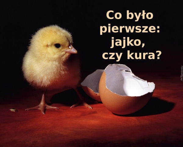 Co było  pierwsze: jajko, czy kura