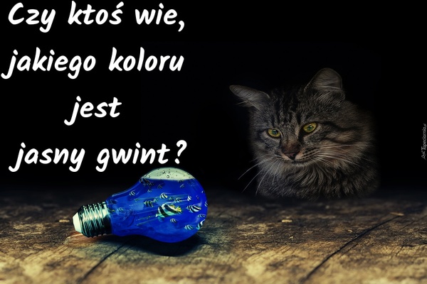 Czy ktoś wie, jakiego koloru jest jasny gwint