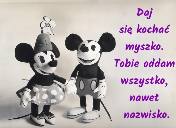 Daj się kochać myszko. Tobie oddam wszystko, nawet nazwisko