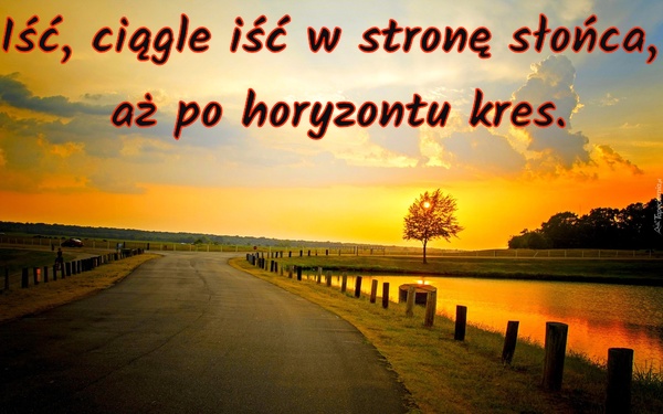 Iść, ciągle iść w stronę słońca, aż po horyzontu kres