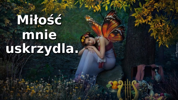Miłość mnie uskrzydla