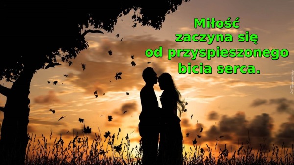 Miłość zaczyna się od przyspieszonego bicia serca