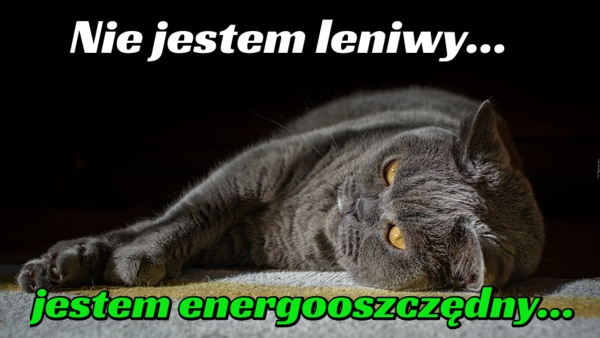 Nie jestem leniwy... jestem energooszczędny