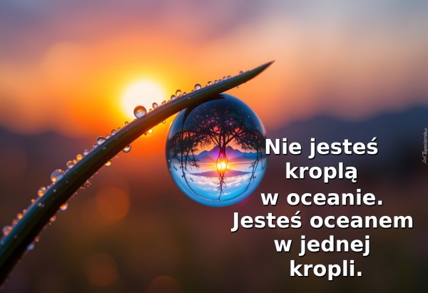 Nie jesteś kroplą w oceanie. Jesteś oceanem w jednej kropli