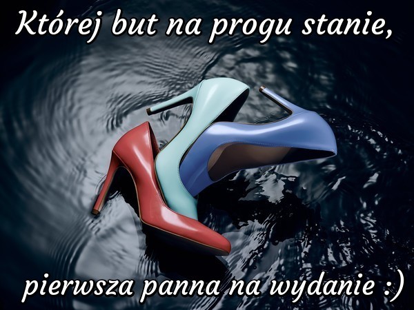 Kobieta to nie Kopciuszek, nie potrafi się cieszyć z jednej pary butów