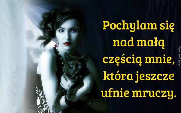 Kobieta, która nie lubi kotów, nie jest w stanie uszczęśliwić mężczyzny