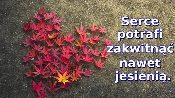 Serce potrafi zakwitnąć nawet jesienią