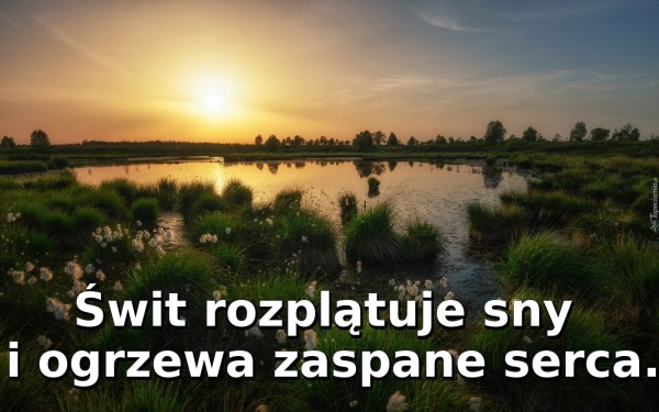 Świt rozplątuje sny i ogrzewa zaspane serca