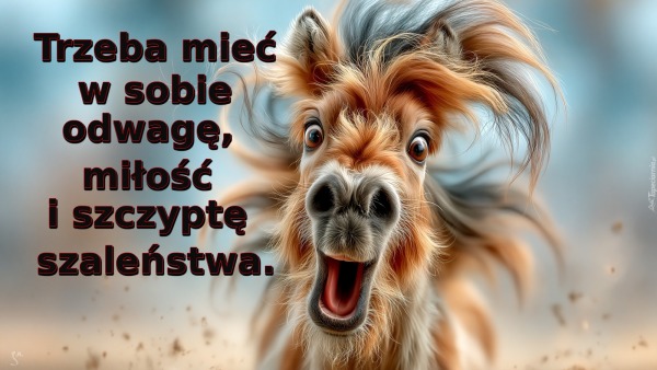 Trzeba mieć w sobie odwagę, miłość i szczyptę szaleństwa