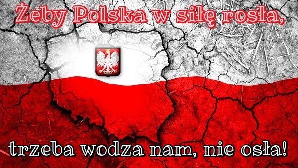 Tym, co zmarli za Ojczyznę hołd wdzięczności Polska składa