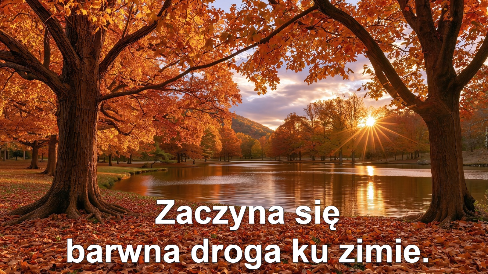 Zaczyna się
barwna droga ku zimie.
