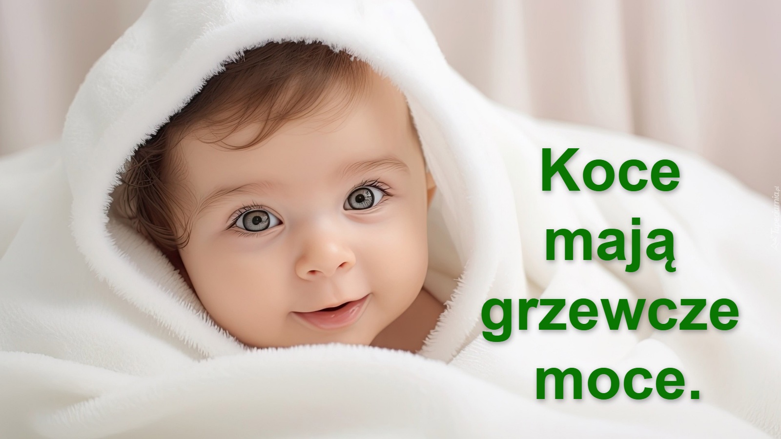 Koce 
mają 
grzewcze 
moce.