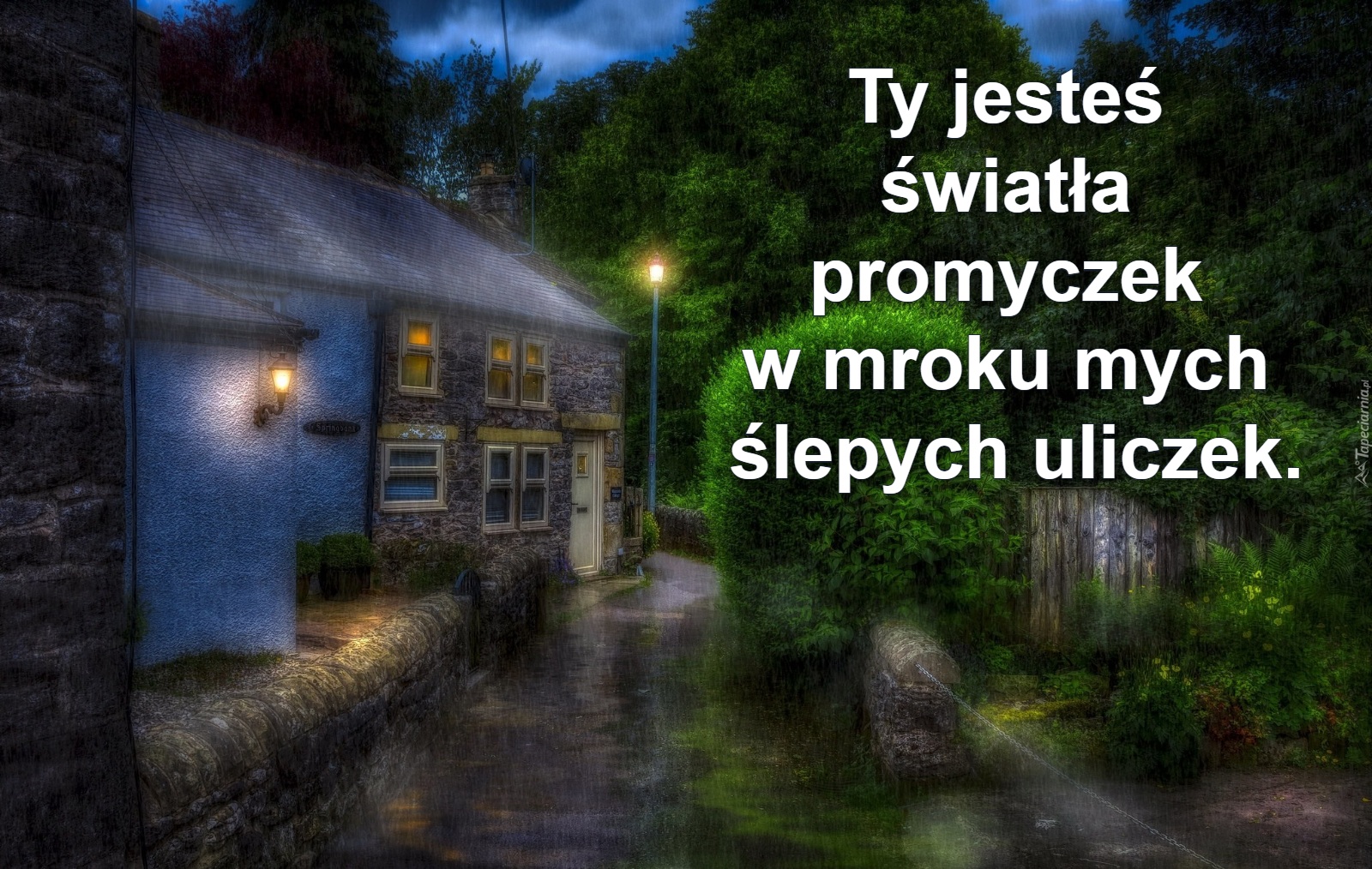 Ty jesteś 
światła 
promyczek 
w mroku mych 
ślepych uliczek.