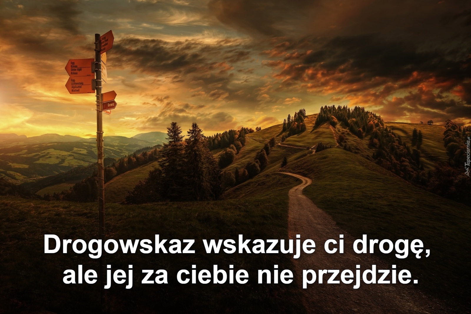 Drogowskaz wskazuje ci drogę, 
ale jej za ciebie nie przejdzie.