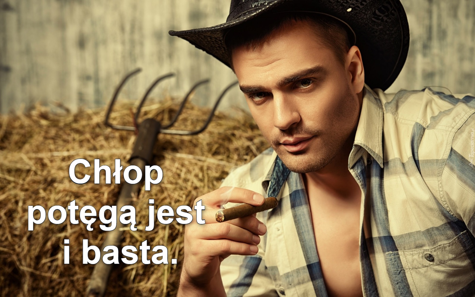 Chłop 
potęgą jest 
i basta.
