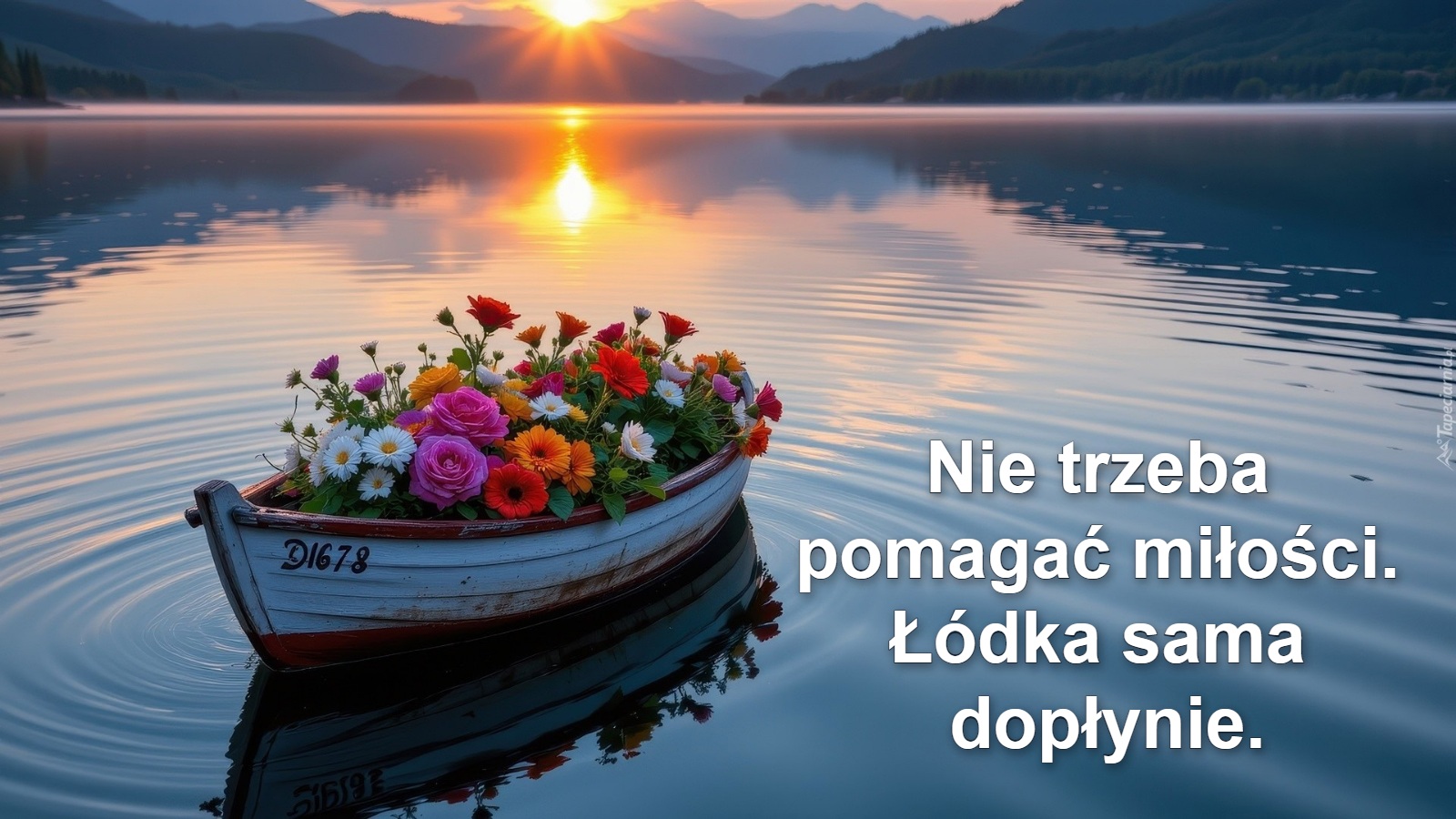 Nie trzeba 
pomagać miłości. 
Łódka sama 
dopłynie.