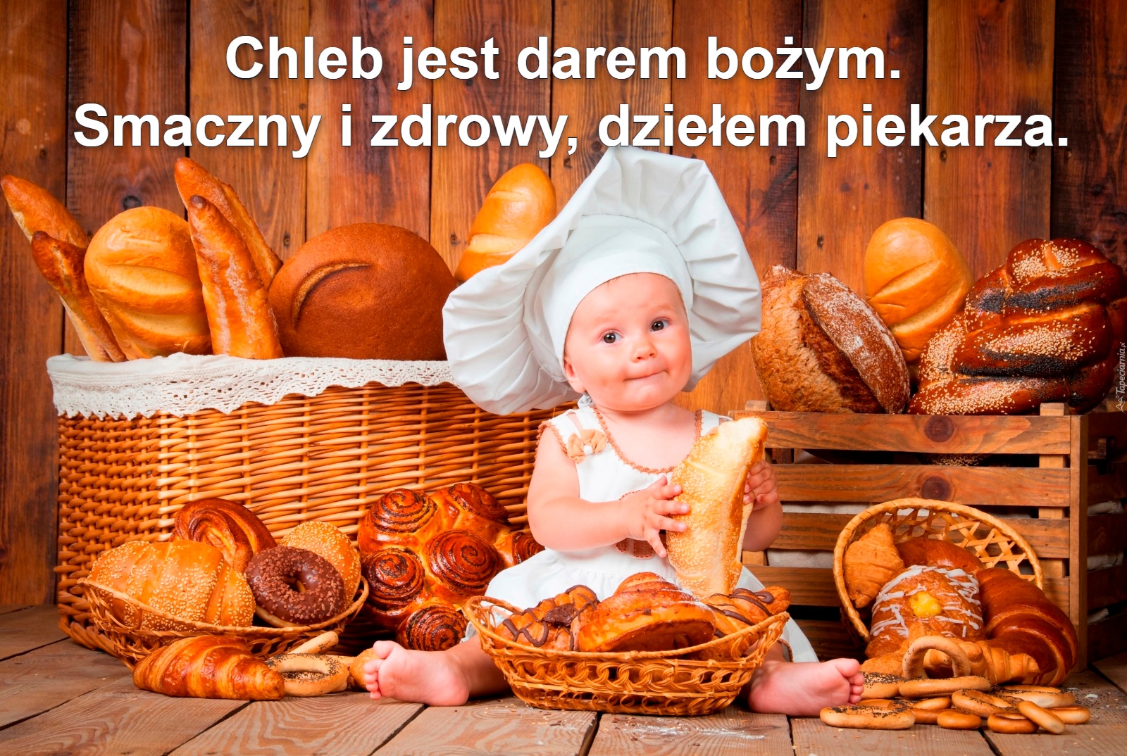 Chleb jest darem bożym. 
Smaczny i zdrowy, dziełem piekarza.