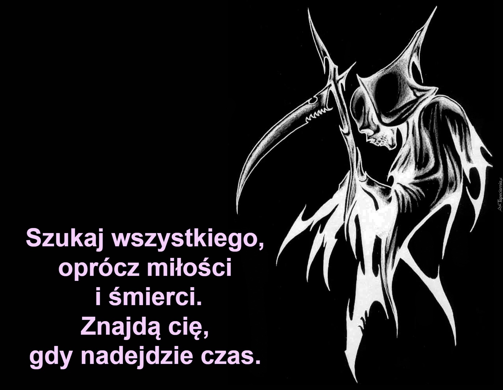 Szukaj wszystkiego, 
oprócz miłości 
i śmierci.
Znajdą cię, 
gdy nadejdzie czas.