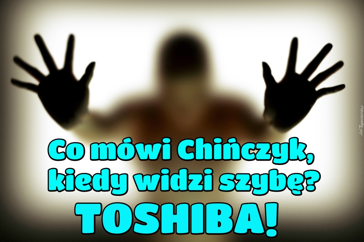 Co mówi Chińczyk, kiedy widzi szybę? TOSHIBA
