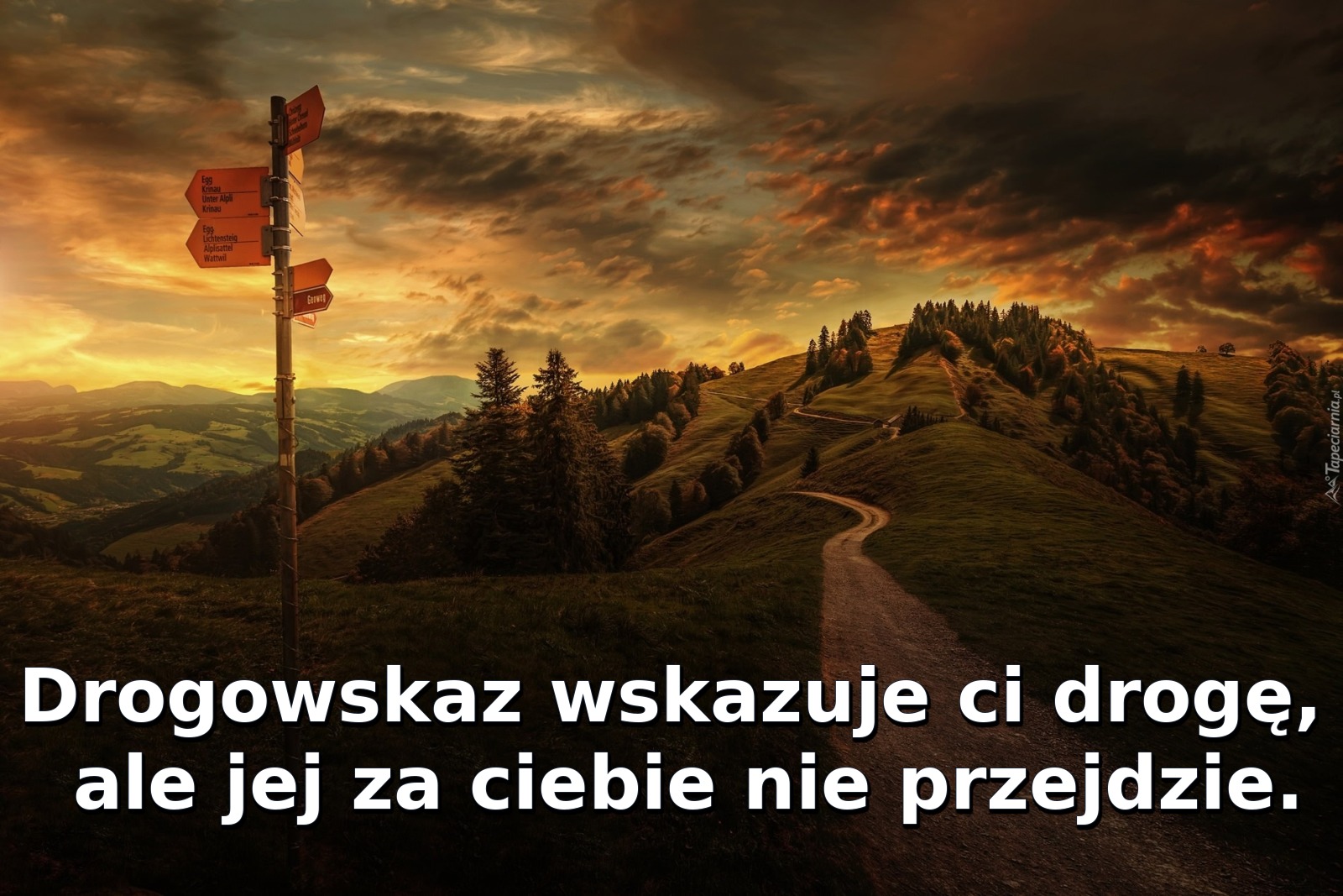 Drogowskaz wskazuje ci drogę, ale jej za ciebie nie przejdzie