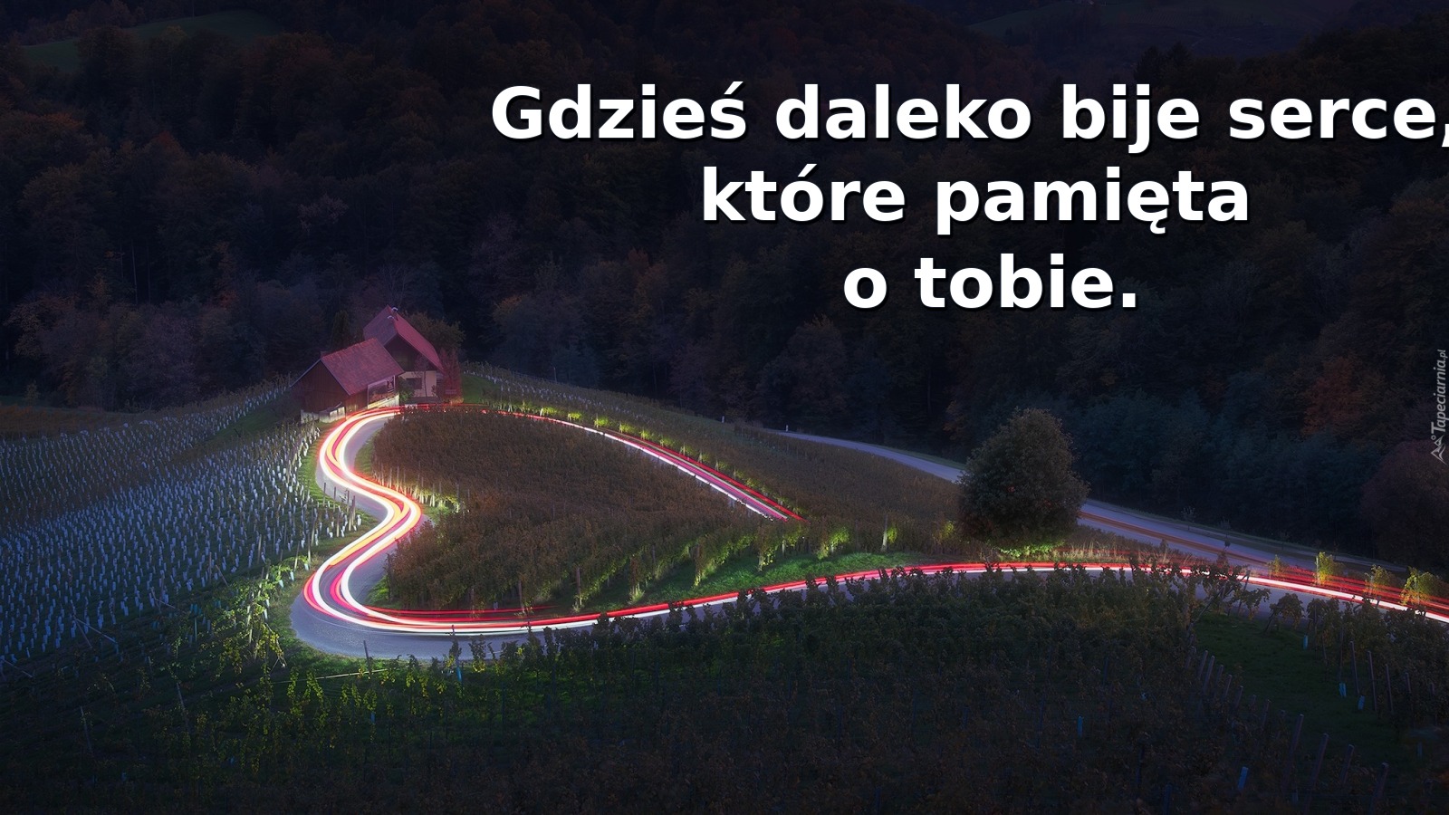 Gdzieś daleko bije serce, które pamięta o tobie
