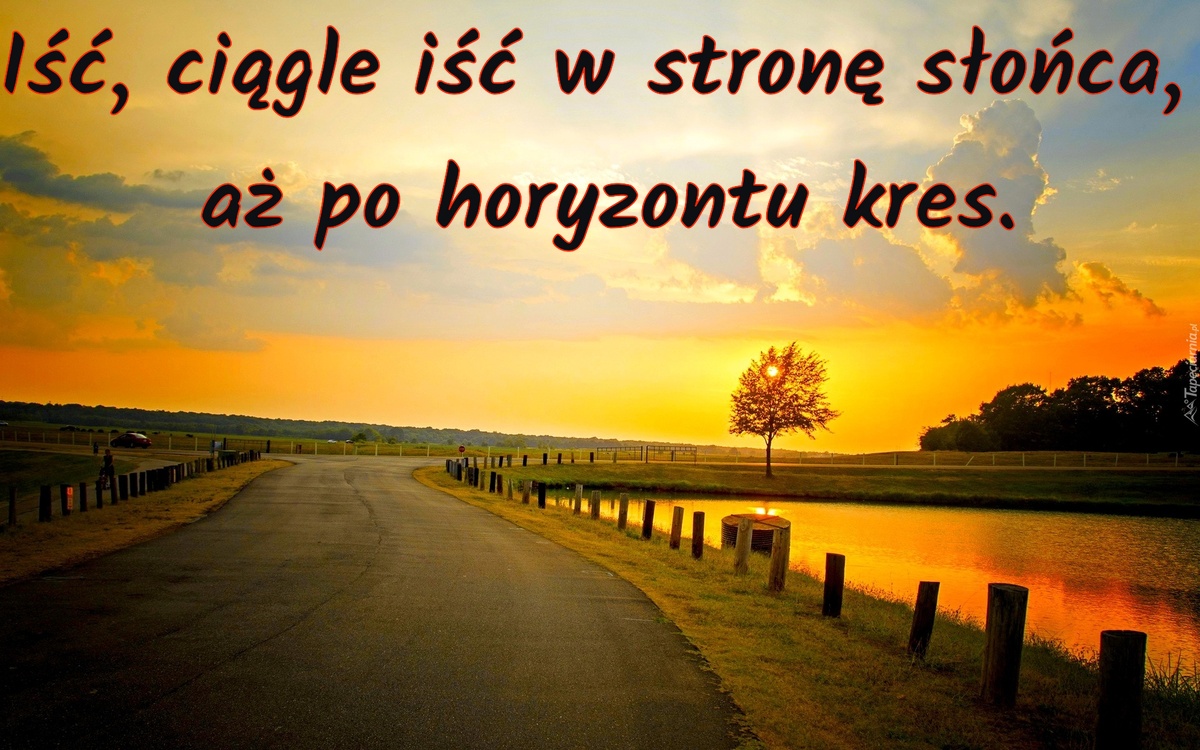 Iść, ciągle iść w stronę słońca, aż po horyzontu kres