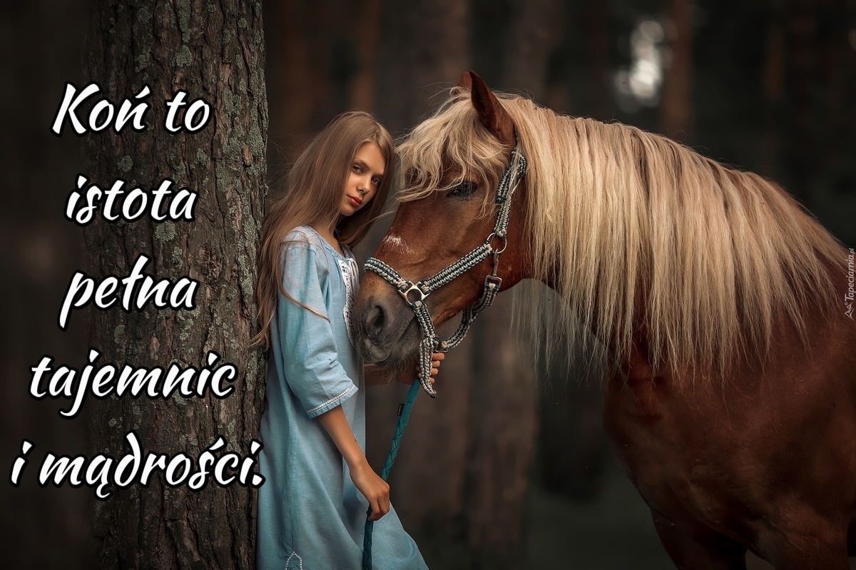 Koń to istota pełna tajemnic i mądrości