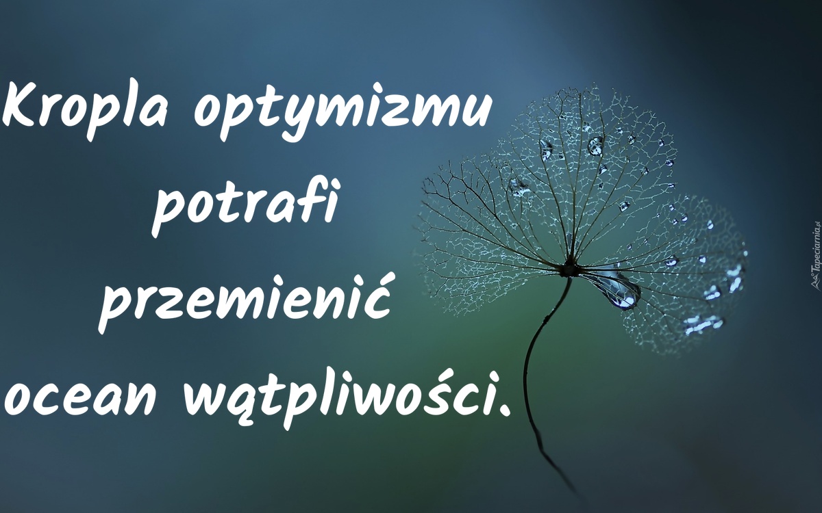 Kropla optymizmu potrafi przemienić ocean wątpliwości