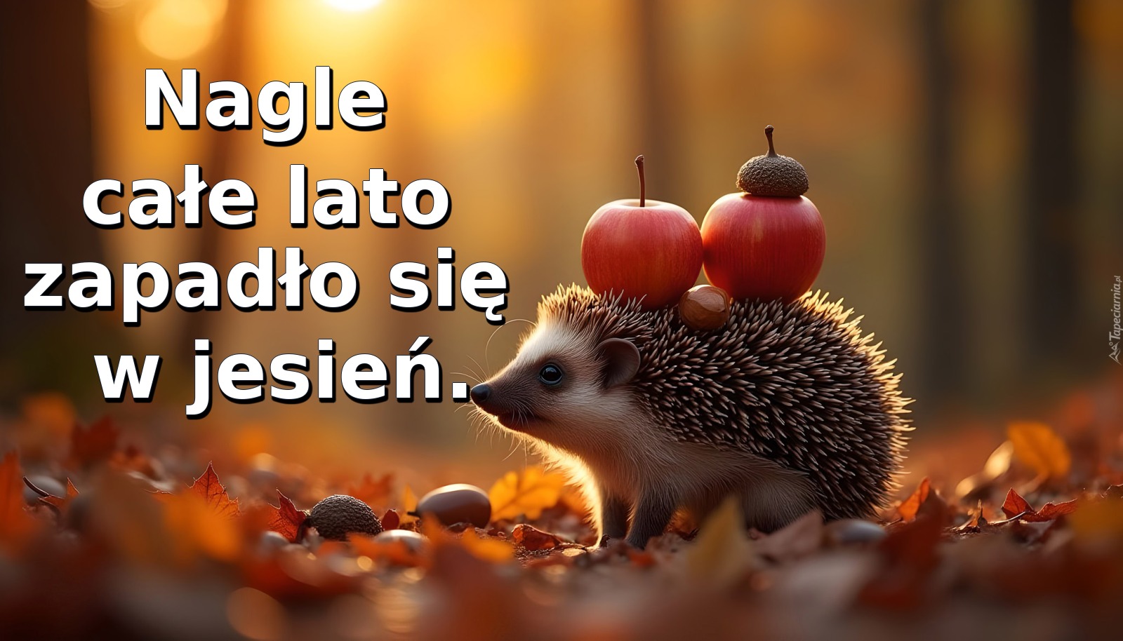 Nagle całe lato zapadło się w jesień