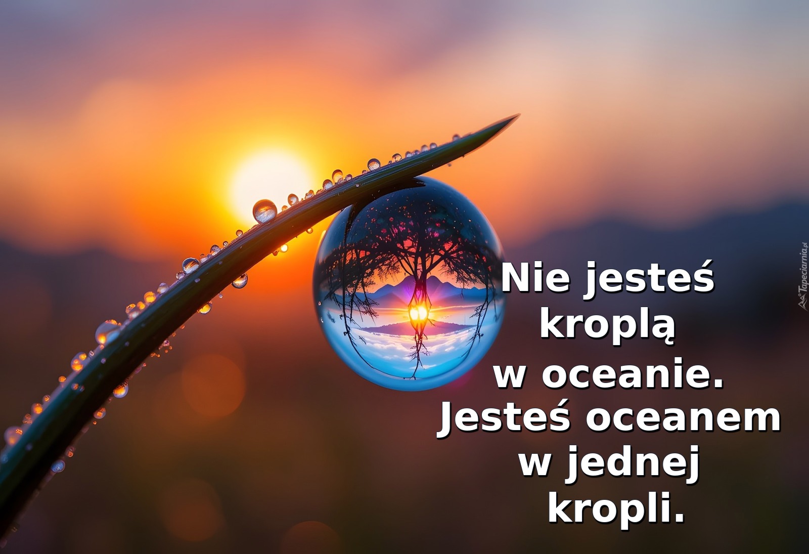 Nie jesteś kroplą w oceanie. Jesteś oceanem w jednej kropli
