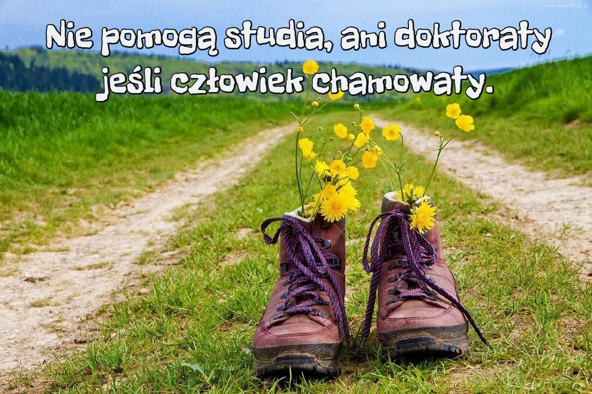 Nie pomogą studia, ani doktoraty...