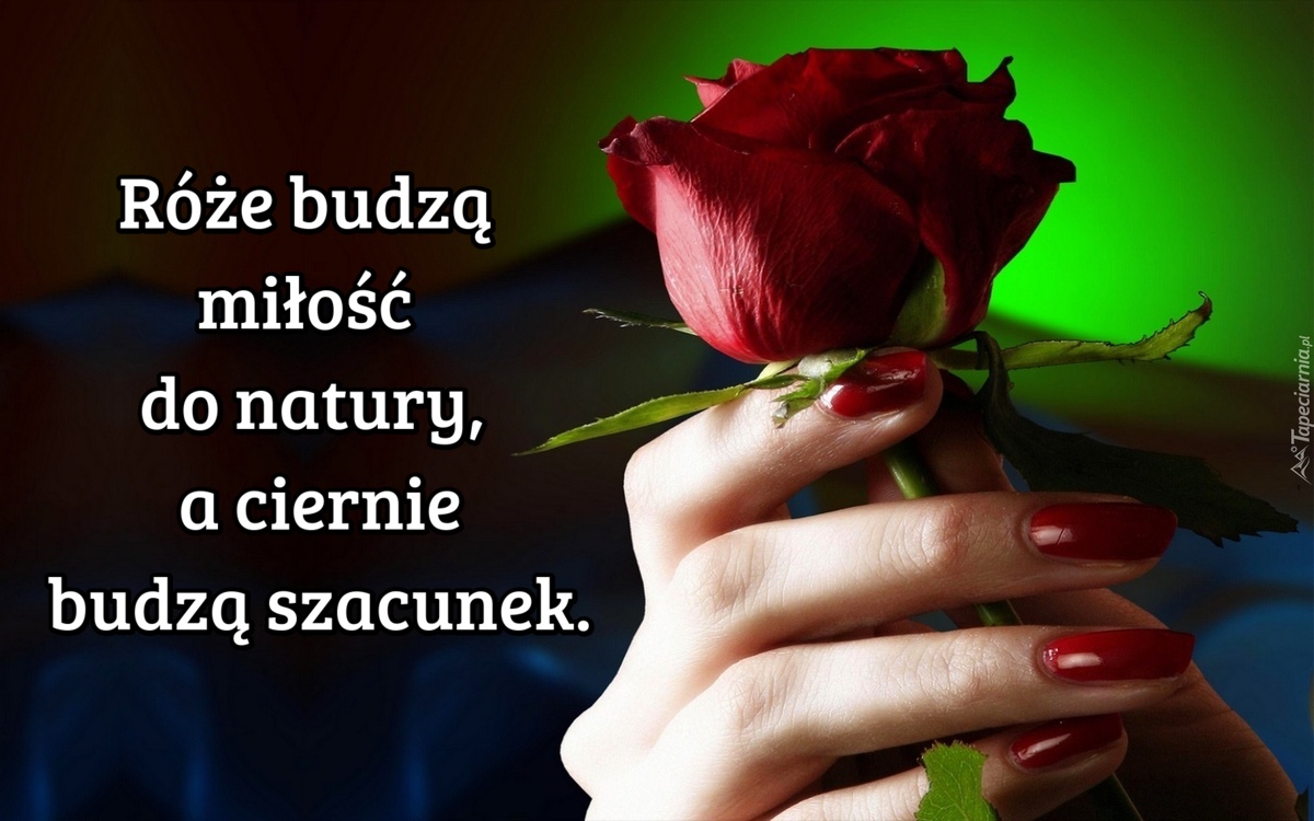 Róże budzą miłość do natury, a ciernie...