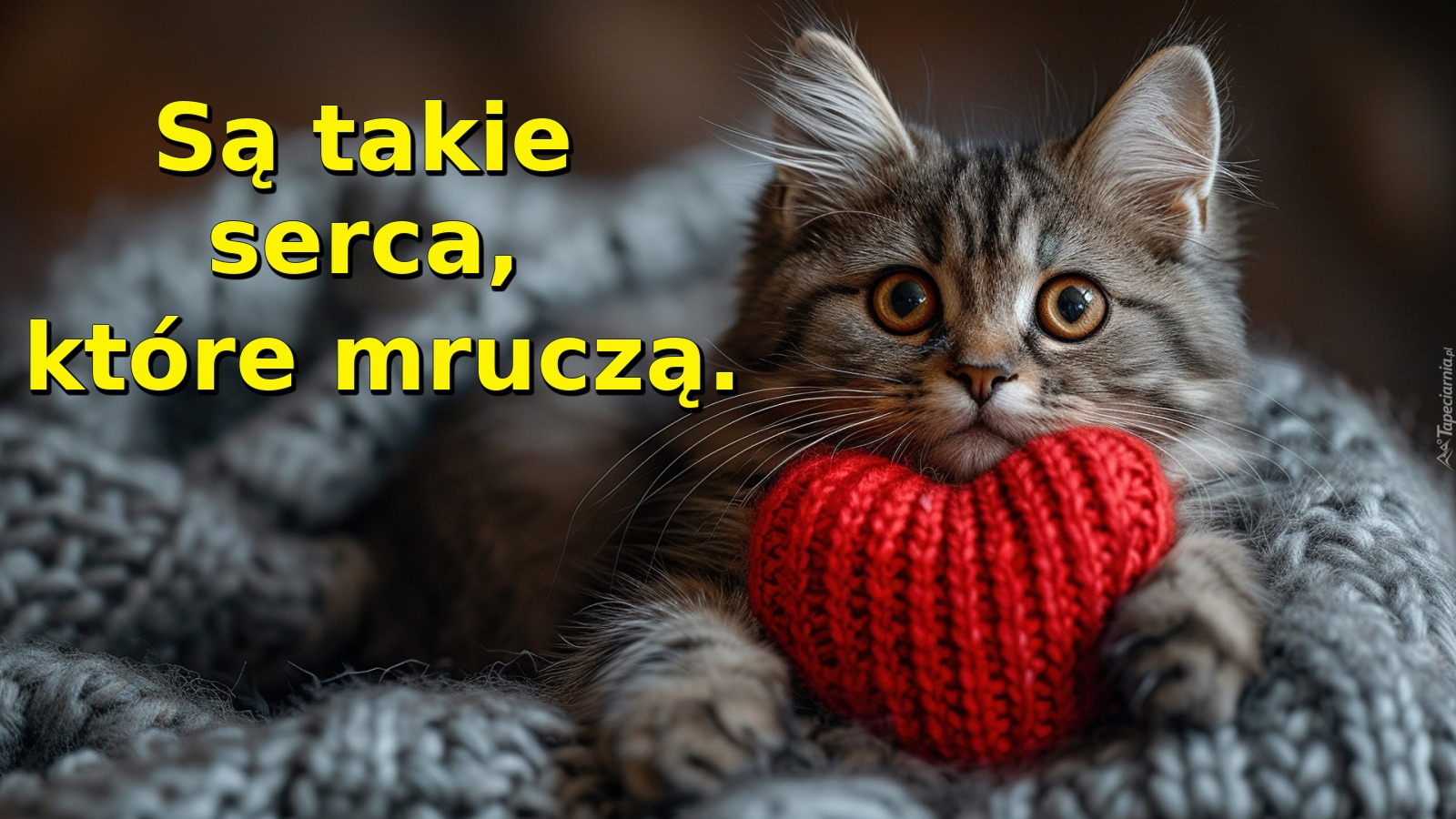 Są takie serca, które mruczą
