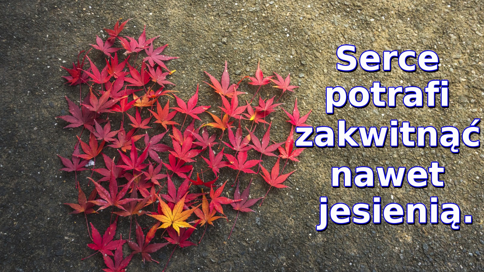 Serce potrafi zakwitnąć nawet jesienią
