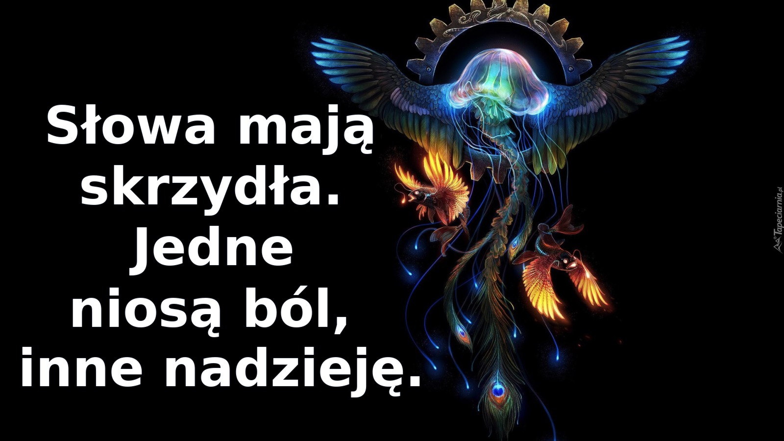 Słowa mają skrzydła. Jedne niosą ból, inne nadzieję