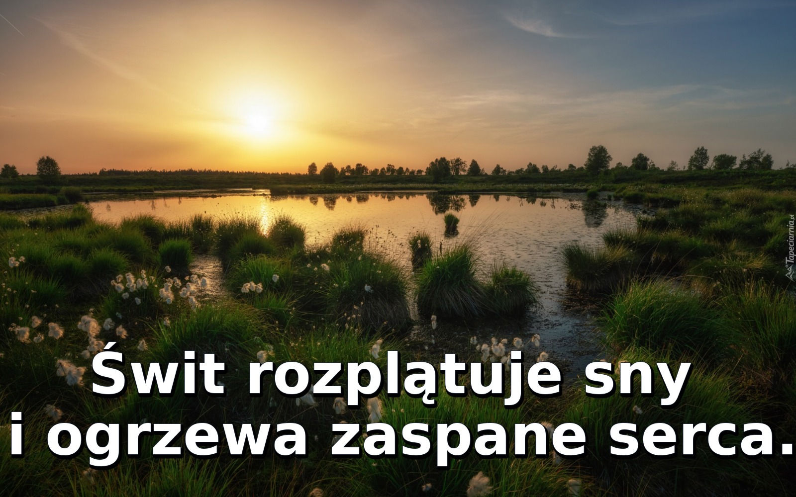 Świt rozplątuje sny i ogrzewa zaspane serca