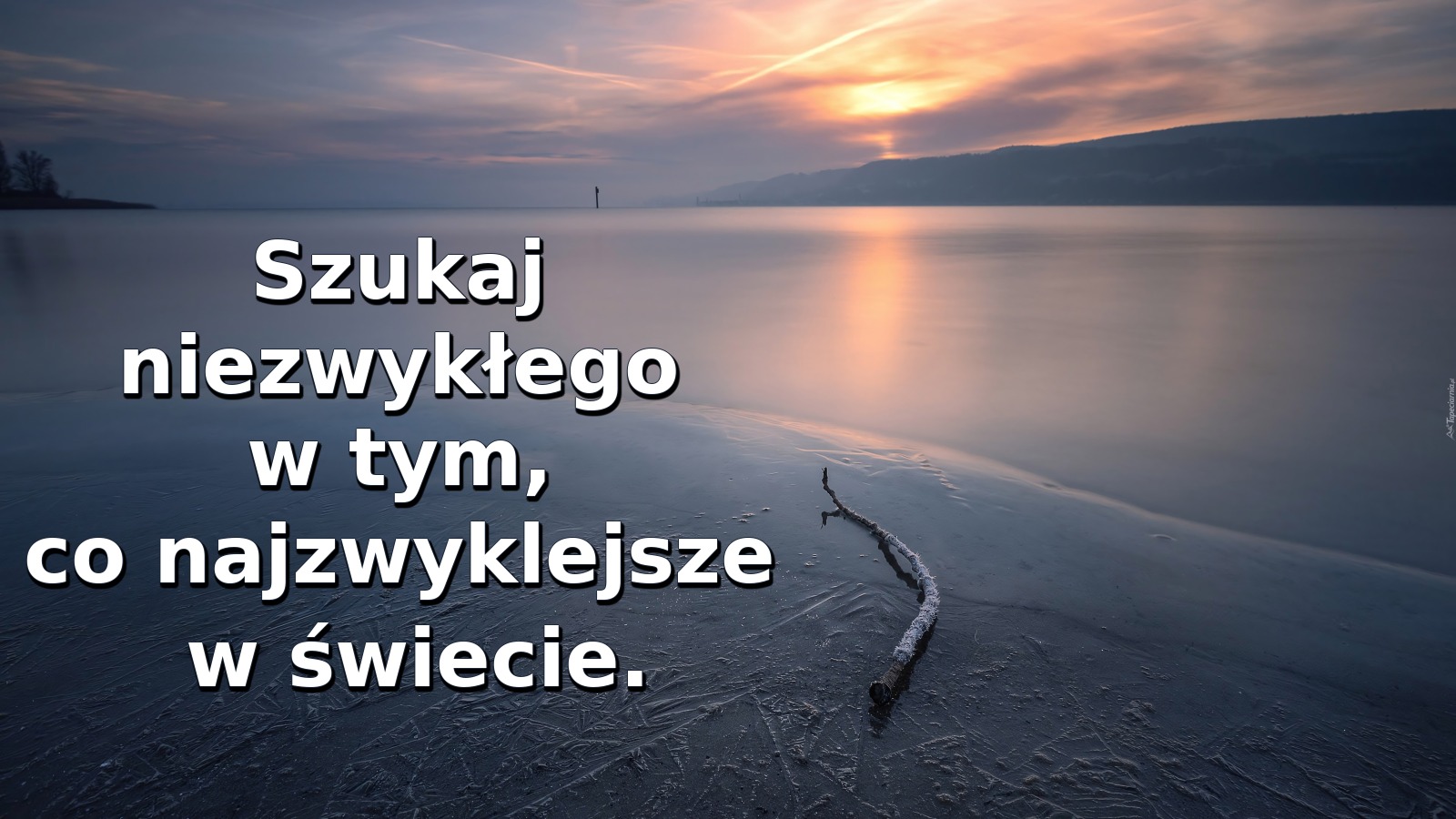 Szukaj niezwykłego w tym, co najzwyklejsze w świecie