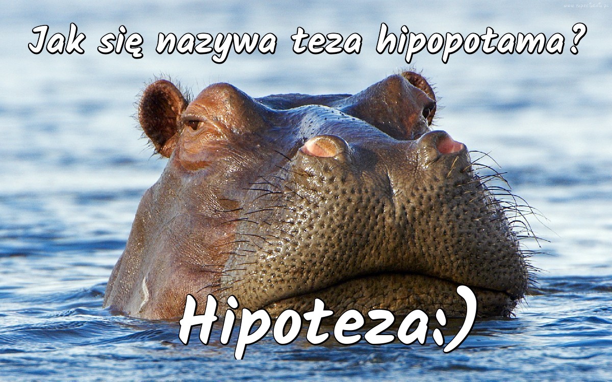 Teza hipopotama