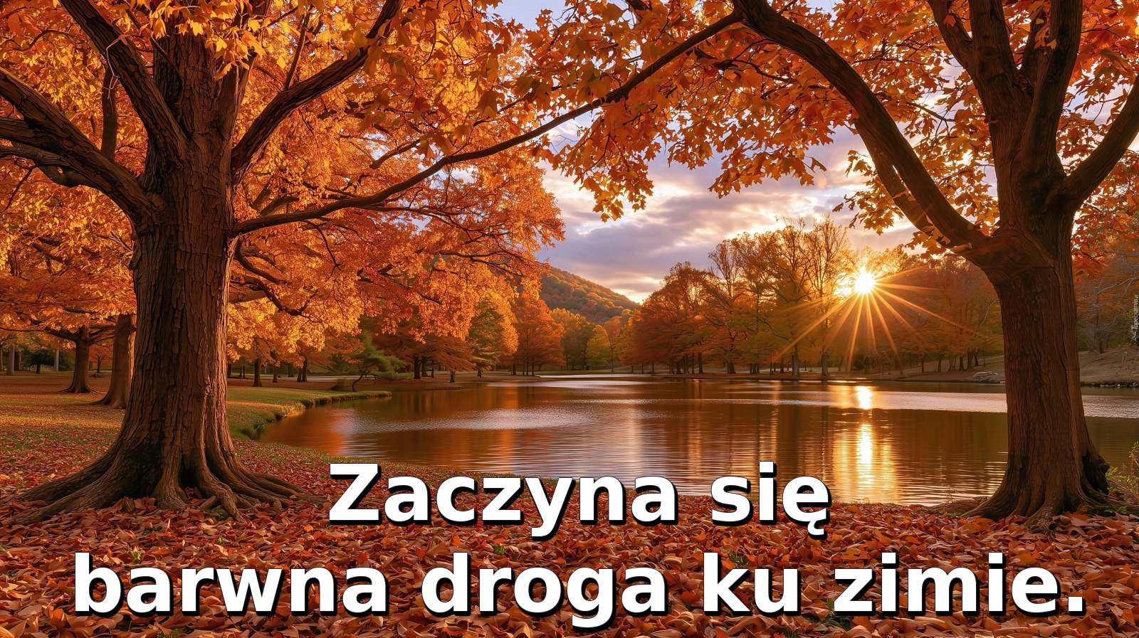 Zaczyna siębarwna droga ku zimie