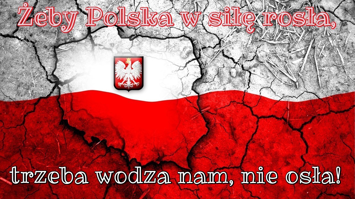 Żeby Polska w siłę rosła