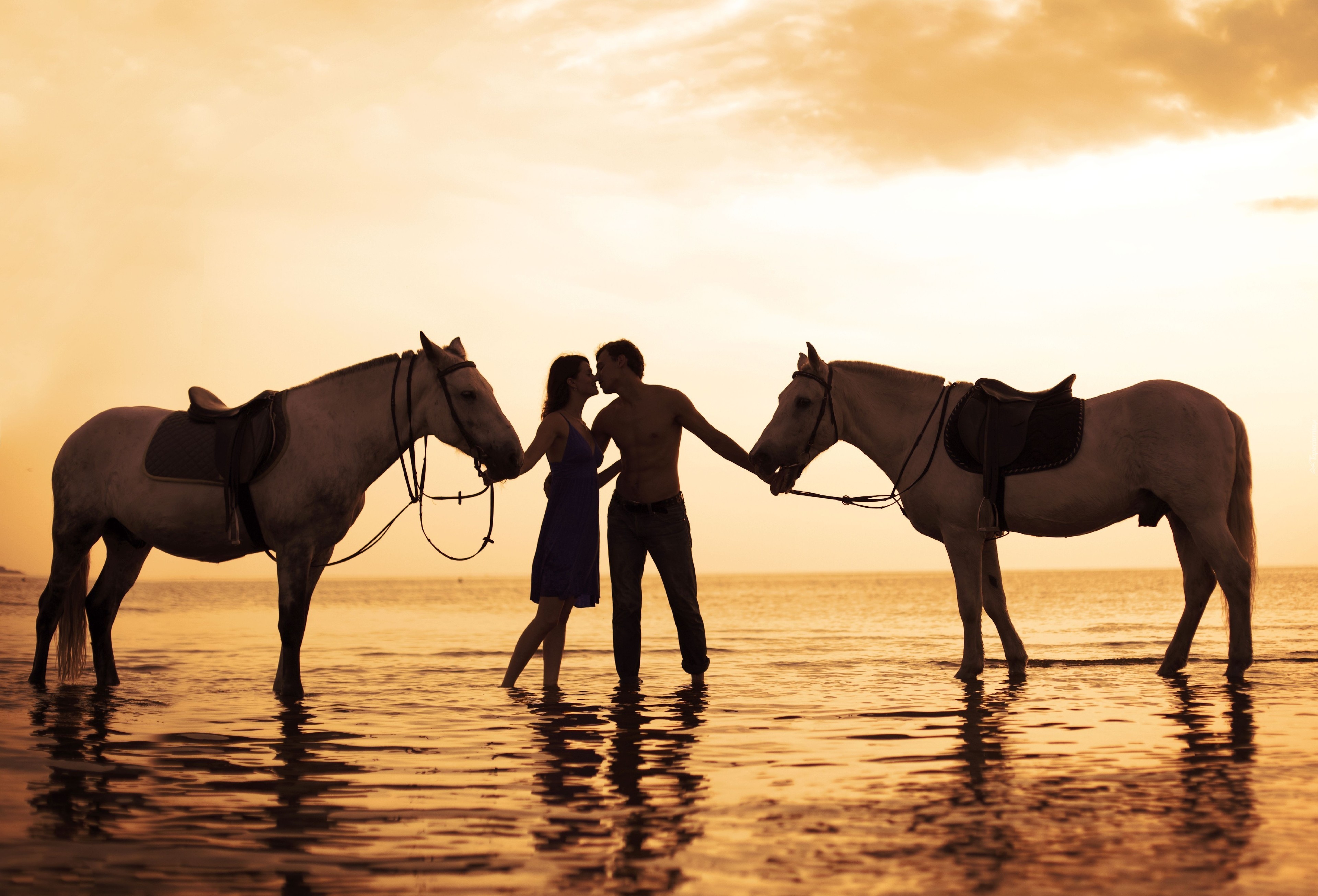 Konie, Kobieta, Mężczyzna, Miłość