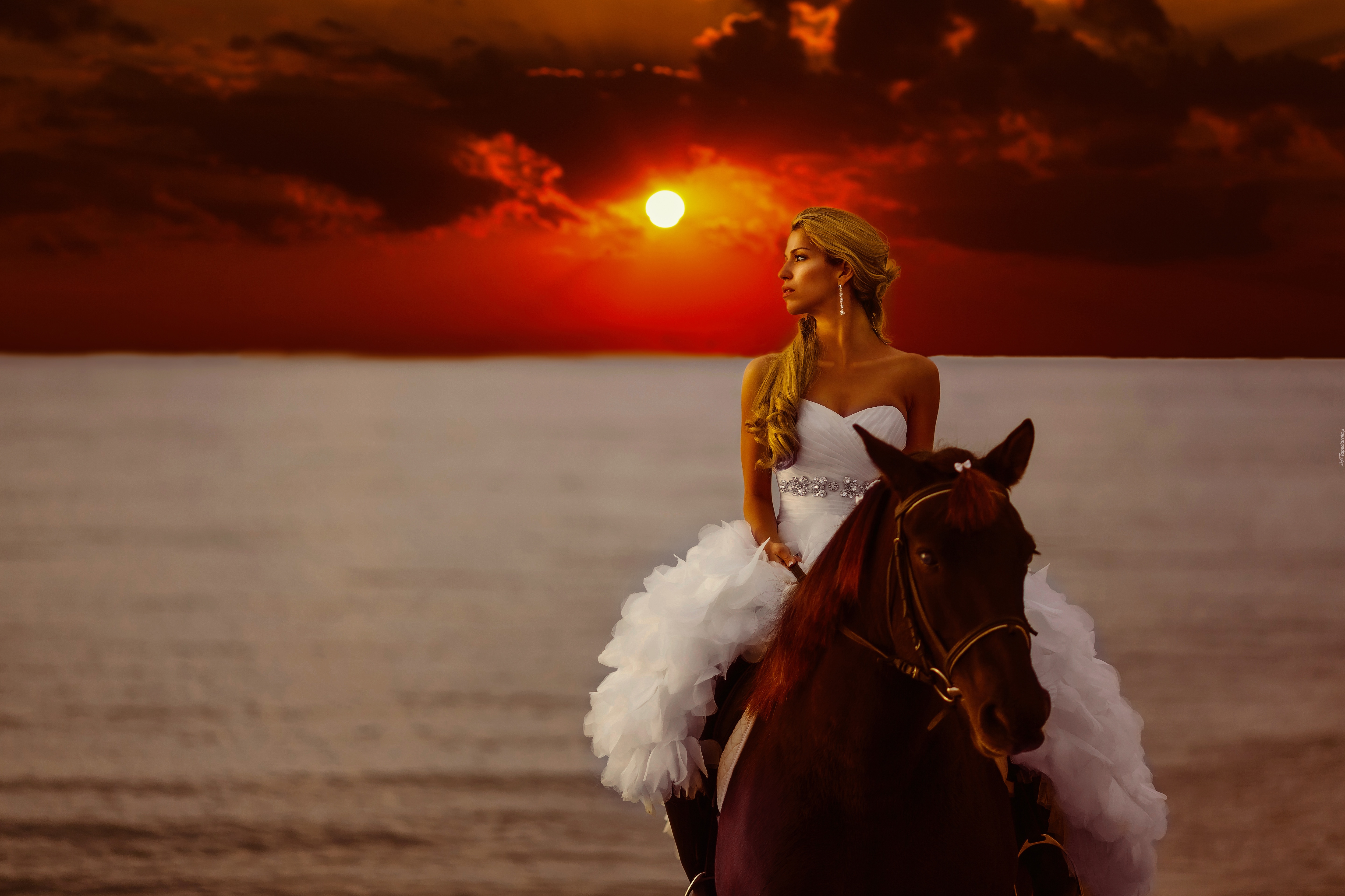 Kobieta, Koń, Zachód słońca