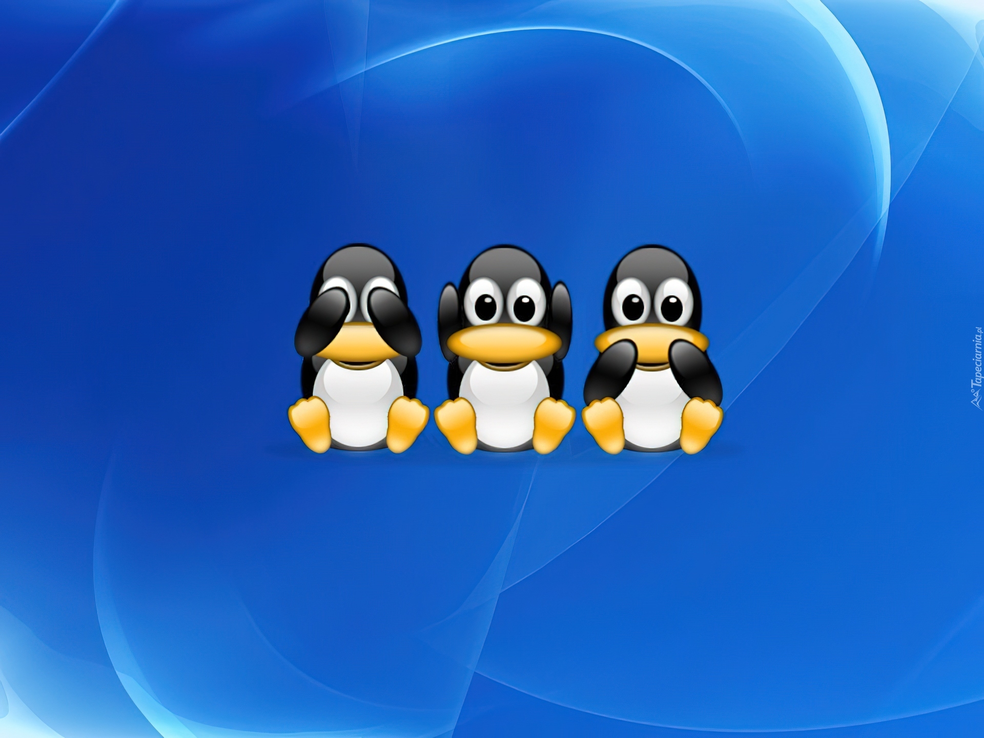 Linux, pingwin, ślepy, głuchy, niemowa, grafika