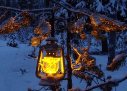 Las, Lampa, Oświetlone, Drzewo, Zima